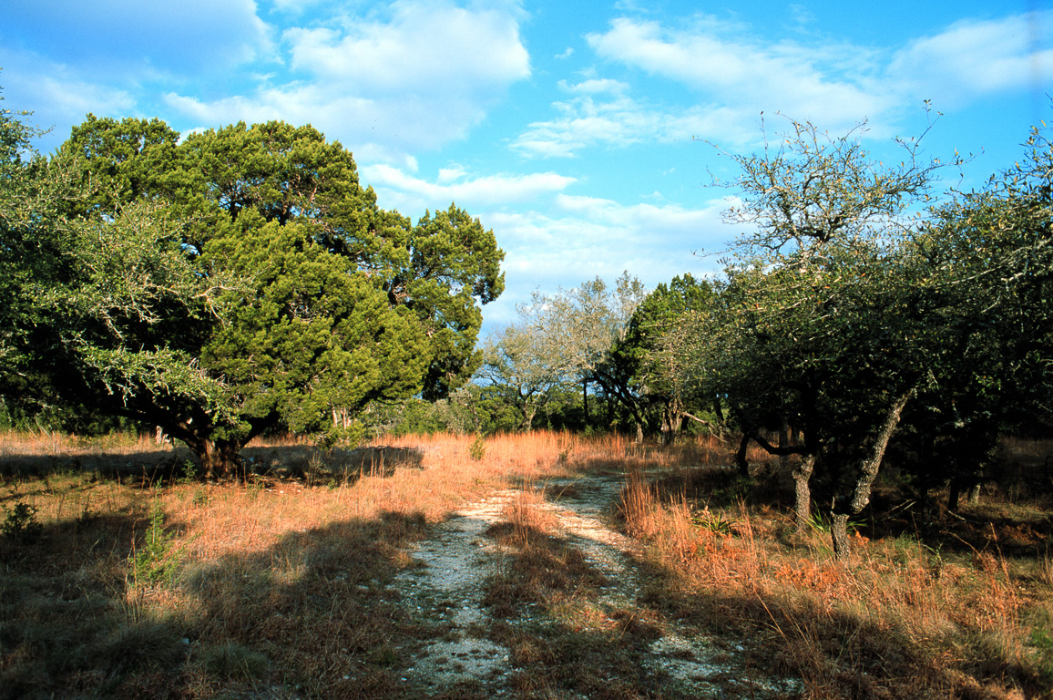 Texas Hill Country