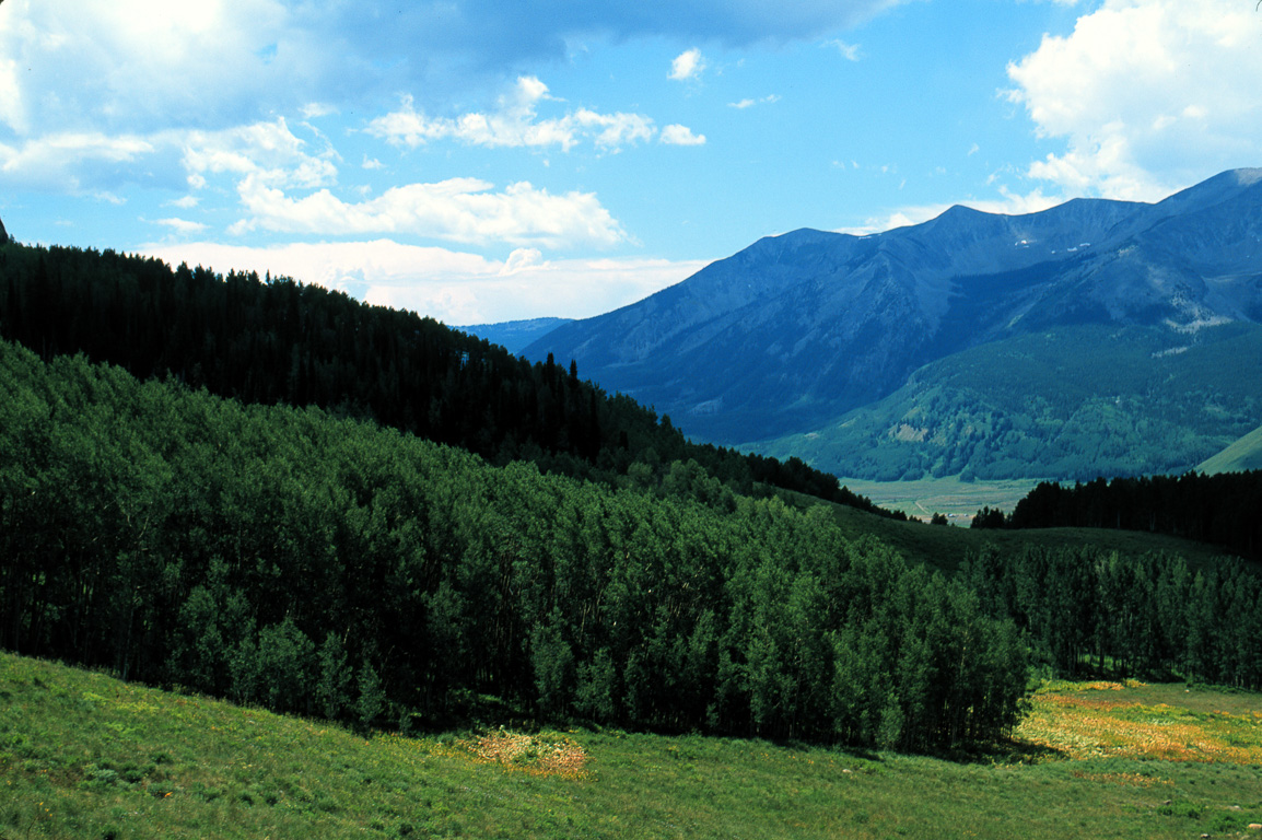 Mt Crested Butte in Colorado