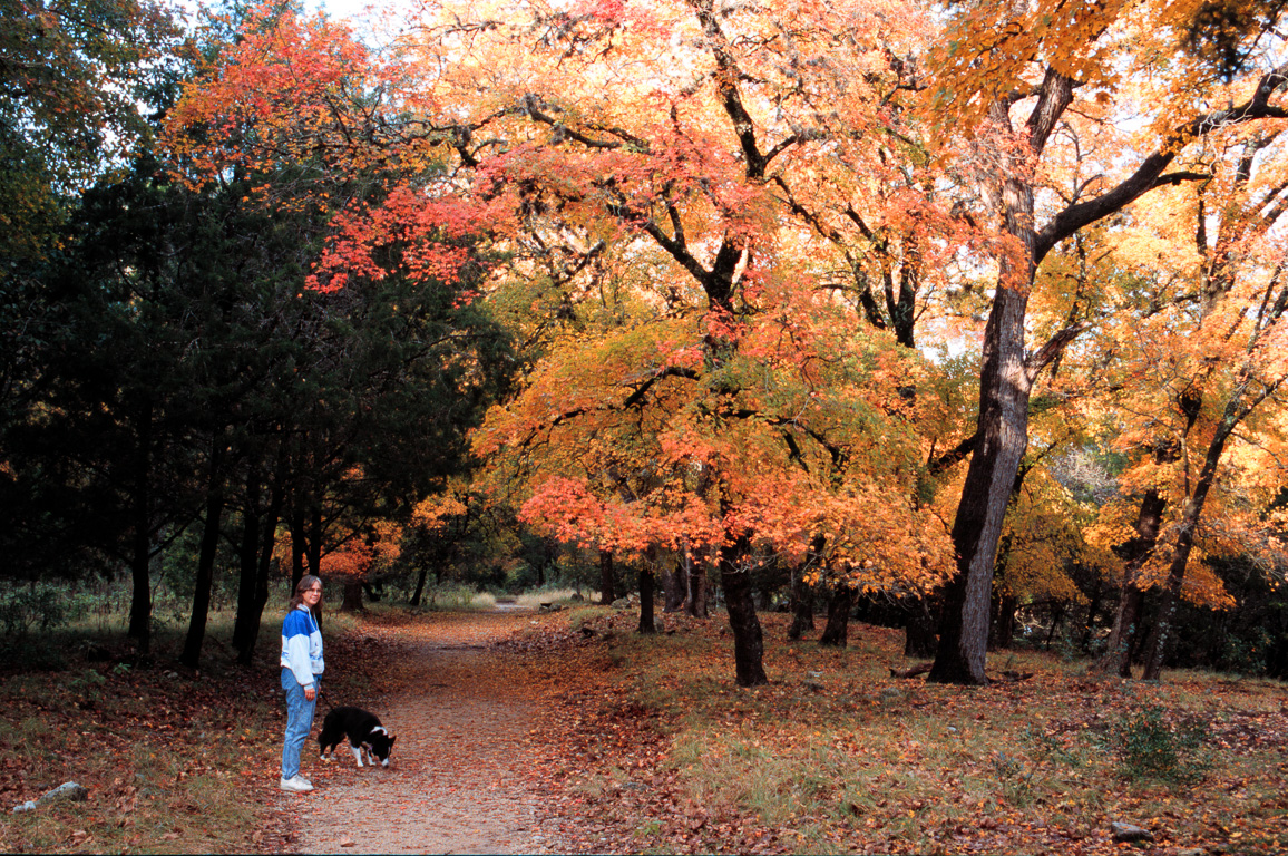 Sarah & Andy at Lost Maples