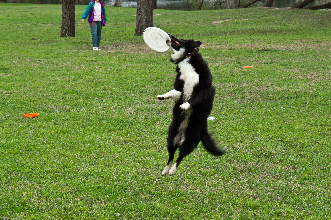 Andy catching a frisbee (2004)