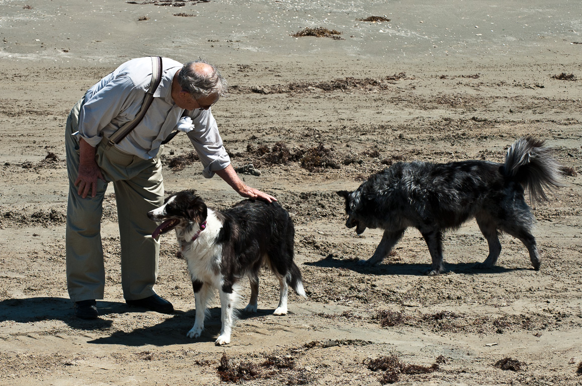 Dad, Wahoo & Skyy on the beach