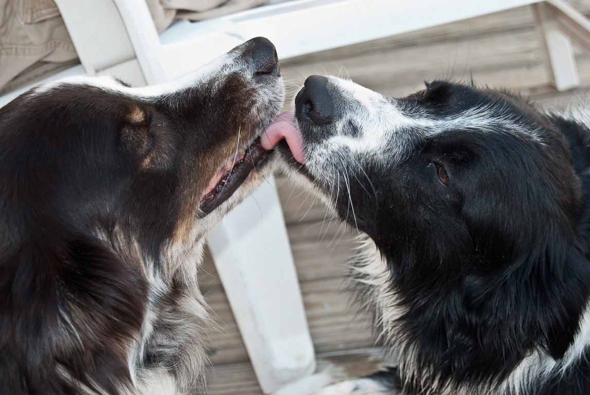 Casey kissing Skyy