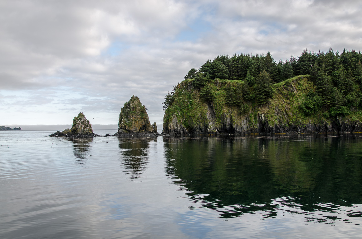 Dinner cruise around Kodiak Island