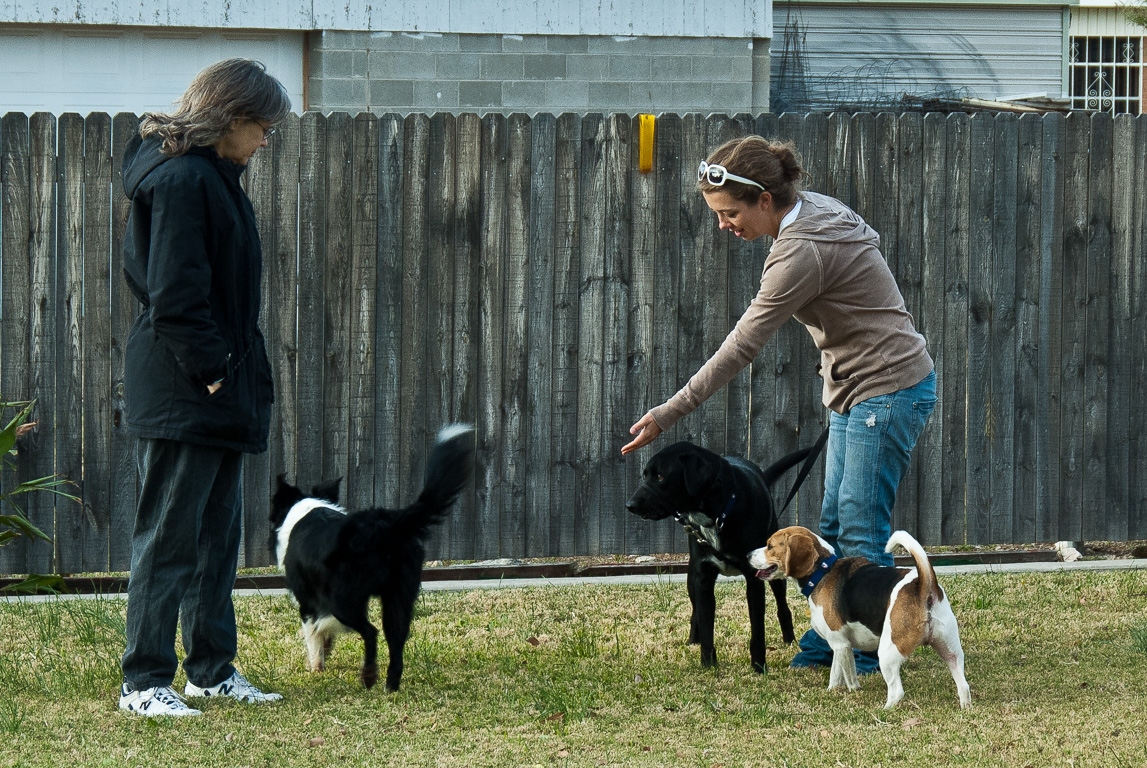 Sarah, Heather & the doggies