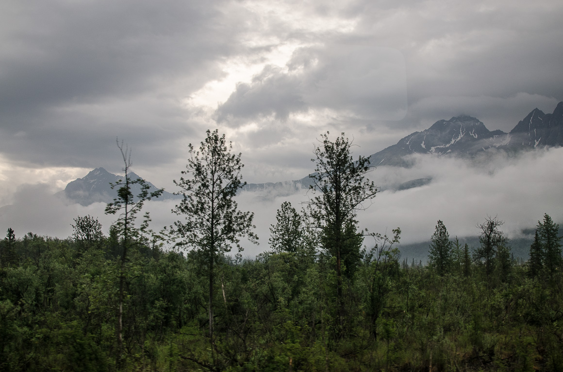 Train trip from Anchorage to Denali