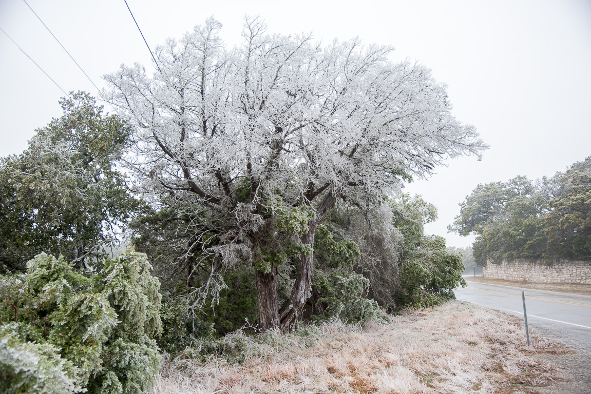 Ice on Medina Highway