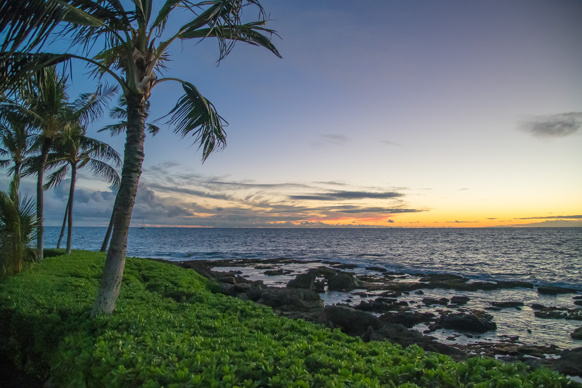 Paradise Cove Lu'au