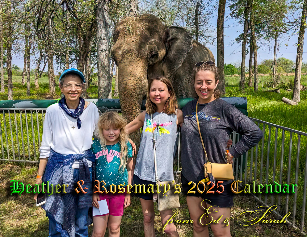 Caroline, Rosemary, Catherine & Heather